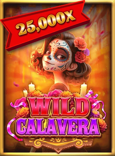 Lucky Bingo game cover